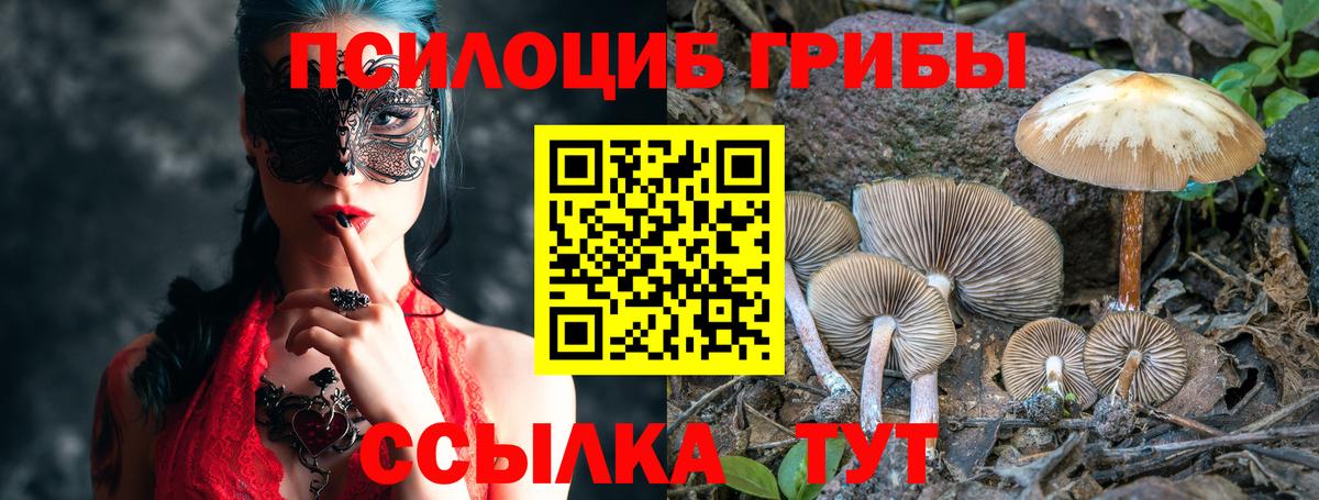 Псилоцибиновые грибы Psilocybine cubensis  Вход с VPN  Снежинск 